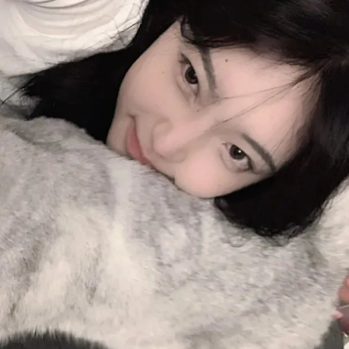 菜鸟老警第七季