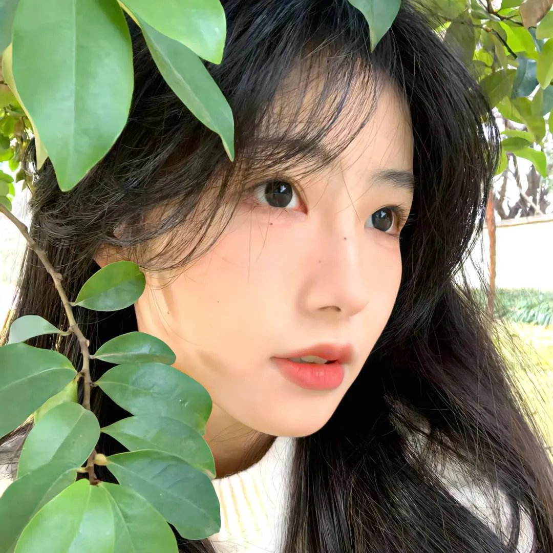 安吉丽娜